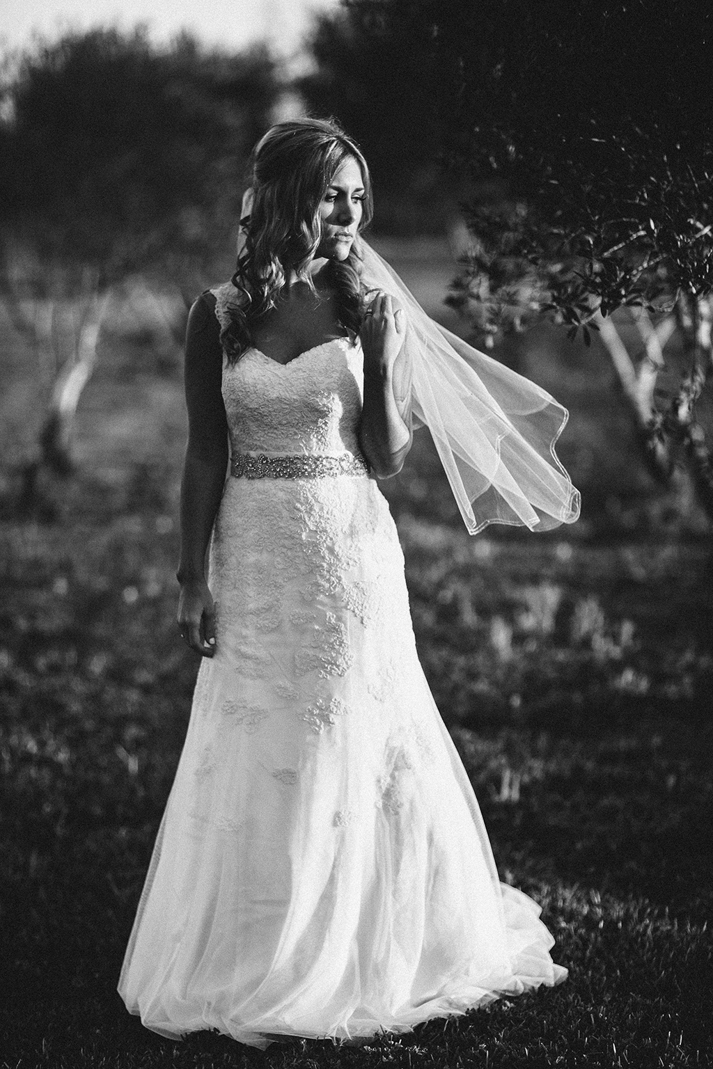 Vineyard-Bridal-Styled-Shoot-1415_Kristen-Curette-Photography-Edit-2